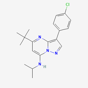 molecular formula C19H23ClN4 B2478616 5-(叔丁基)-3-(4-氯苯基)-N-异丙基吡唑并[1,5-a]嘧啶-7-胺 CAS No. 896074-55-8