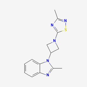 molecular formula C14H15N5S B2479091 3-Methyl-5-[3-(2-methylbenzimidazol-1-yl)azetidin-1-yl]-1,2,4-thiadiazole CAS No. 2380087-41-0