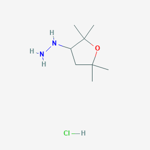 (2,2,5,5-Tetramethyloxolan-3-yl)hydrazine hydrochloride