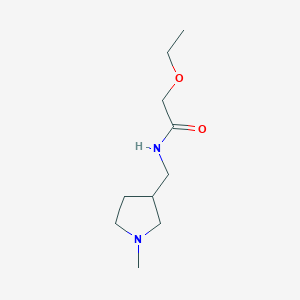 molecular formula C10H20N2O2 B2480554 2-ethoxy-N-[(1-methylpyrrolidin-3-yl)methyl]acetamide CAS No. 1342853-67-1