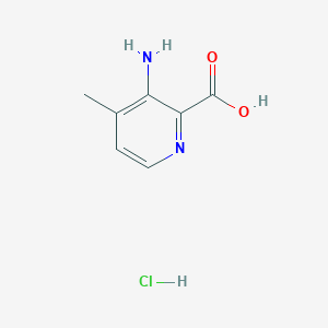molecular formula C7H9ClN2O2 B2480733 3-Amino-4-methylpyridine-2-carboxylic acid;hydrochloride CAS No. 2580191-08-6