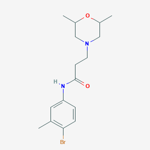 molecular formula C16H23BrN2O2 B248108 N-(4-bromo-3-methylphenyl)-3-(2,6-dimethylmorpholin-4-yl)propanamide 