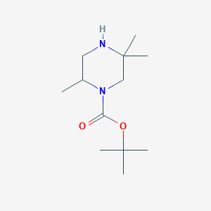 molecular formula C12H24N2O2 B2481307 叔丁基-2,5,5-三甲基哌嗪-1-甲酸酯 CAS No. 308109-96-8