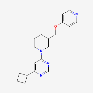 molecular formula C19H24N4O B2482160 4-Cyclobutyl-6-[3-(pyridin-4-yloxymethyl)piperidin-1-yl]pyrimidine CAS No. 2379975-44-5