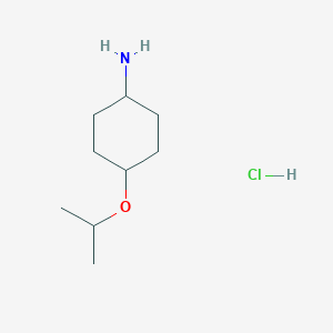 molecular formula C9H20ClNO B2482621 4-(异丙氧基)环己基胺盐酸盐 CAS No. 2044723-06-8