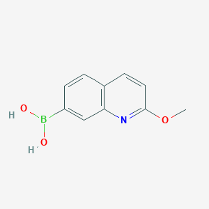 molecular formula C10H10BNO3 B2483516 2-Methoxychinolin-7-boronsäure CAS No. 2377608-28-9