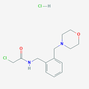 molecular formula C14H20Cl2N2O2 B2483570 2-chloro-N-{[2-(morpholin-4-ylmethyl)phenyl]methyl}acetamide hydrochloride CAS No. 1049758-67-9