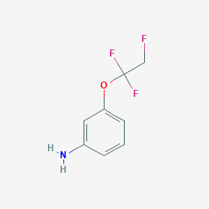 molecular formula C8H8F3NO B2483813 3-(1,1,2-Trifluoroethoxy)aniline CAS No. 60985-04-8