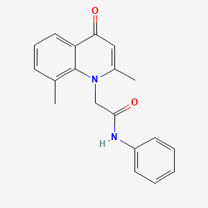 molecular formula C19H18N2O2 B2483992 2-(2,8-dimethyl-4-oxoquinolin-1(4H)-yl)-N-phenylacetamide CAS No. 384376-89-0