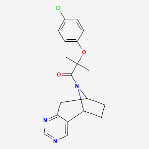molecular formula C19H20ClN3O2 B2484541 2-(4-chlorophenoxy)-2-methyl-1-((5R,8S)-6,7,8,9-tetrahydro-5H-5,8-epiminocyclohepta[d]pyrimidin-10-yl)propan-1-one CAS No. 2058873-06-4