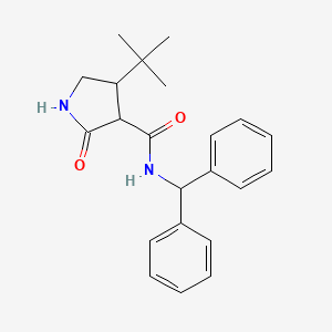 molecular formula C22H26N2O2 B2484749 4-tert-butyl-N-(diphenylmethyl)-2-oxopyrrolidine-3-carboxamide CAS No. 2097868-77-2