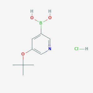 5-(tert-Butoxy)pyridine-3-boronic acid hydrochloride
