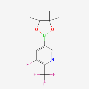 3-Fluoro-5-(tetramethyl-1,3,2-dioxaborolan-2-yl)-2-(trifluoromethyl)pyridine