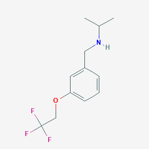 molecular formula C12H16F3NO B2487324 异丙基[3-(2,2,2-三氟乙氧基)苯甲基]胺 CAS No. 1095116-27-0