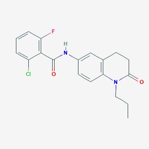 molecular formula C19H18ClFN2O2 B2487344 2-氯-6-氟-N-(2-氧代-1-丙基-1,2,3,4-四氢喹啉-6-基)苯甲酰胺 CAS No. 941910-42-5