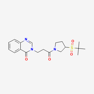 molecular formula C19H25N3O4S B2487499 3-(3-(3-(tert-butylsulfonyl)pyrrolidin-1-yl)-3-oxopropyl)quinazolin-4(3H)-one CAS No. 1448133-26-3