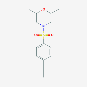 4-(4-TERT-BUTYLBENZENESULFONYL)-2,6-DIMETHYLMORPHOLINE