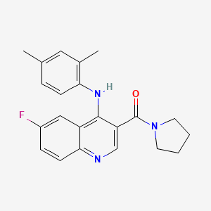 molecular formula C22H22FN3O B2487926 (4-((2,4-Dimethylphenyl)amino)-6-fluoroquinolin-3-yl)(pyrrolidin-1-yl)methanone CAS No. 1358760-73-2