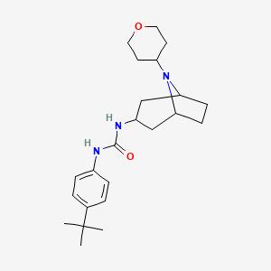 molecular formula C23H35N3O2 B2488609 1-(4-Tert-butylphenyl)-3-[8-(oxan-4-yl)-8-azabicyclo[3.2.1]octan-3-yl]urea CAS No. 2320572-16-3