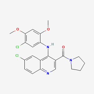 molecular formula C22H21Cl2N3O3 B2488626 (6-氯-4-((5-氯-2,4-二甲氧基苯基)氨基)喹啉-3-基)(吡咯烷-1-基)甲酮 CAS No. 1358763-75-3