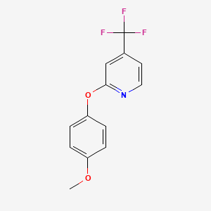 molecular formula C13H10F3NO2 B2489442 2-(4-甲氧基苯氧基)-4-(三氟甲基)吡啶 CAS No. 260788-74-7