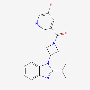 molecular formula C19H19FN4O B2490350 (5-Fluoropyridin-3-yl)-[3-(2-propan-2-ylbenzimidazol-1-yl)azetidin-1-yl]methanone CAS No. 2415625-19-1