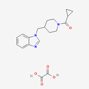 molecular formula C19H23N3O5 B2490776 (4-((1H-苯并[d]咪唑-1-基)甲基)哌啶-1-基)(环丙基)甲酮草酸盐 CAS No. 1421459-25-7