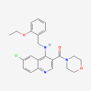 molecular formula C23H24ClN3O3 B2490828 {6-氯-4-[(2-乙氧基苯甲基)氨基]喹啉-3-基}(吗啉-4-基)甲酮 CAS No. 1326922-15-9