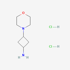 molecular formula C8H18Cl2N2O B2491313 3-(吗啉-4-基)环丁烷-1-胺二盐酸盐 CAS No. 1229624-58-1