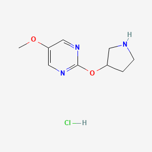 5-Methoxy-2-(pyrrolidin-3-yloxy)pyrimidine hydrochloride