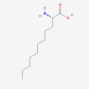 molecular formula C11H23NO2 B2492740 (S)-2-氨基十一酸 CAS No. 1254251-27-8