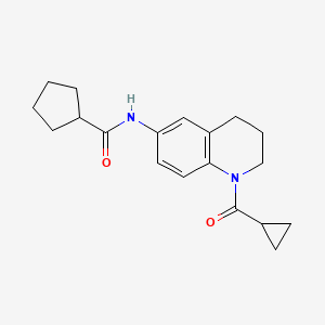 molecular formula C19H24N2O2 B2493098 N-[1-(cyclopropanecarbonyl)-3,4-dihydro-2H-quinolin-6-yl]cyclopentanecarboxamide CAS No. 942005-58-5