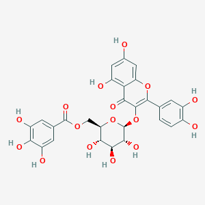 molecular formula C28H24O16 B2493140 Quercetin 3-O-(6''-galloyl)-beta-D-glucopyranoside CAS No. 56316-75-7