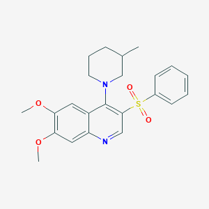molecular formula C23H26N2O4S B2493156 6,7-Dimethoxy-4-(3-methylpiperidin-1-yl)-3-(phenylsulfonyl)quinoline CAS No. 899761-69-4