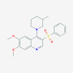 molecular formula C23H26N2O4S B2493156 3-(benzenesulfonyl)-6,7-dimethoxy-4-(3-methylpiperidin-1-yl)quinoline CAS No. 899761-69-4