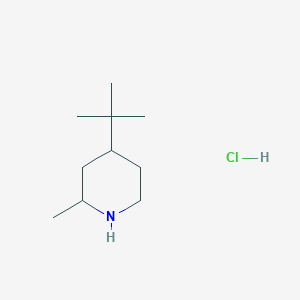 4-Tert-butyl-2-methylpiperidine hydrochloride