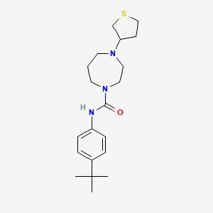 molecular formula C20H31N3OS B2495099 N-(4-(叔丁基)苯基)-4-(四氢噻吩-3-基)-1,4-二氮杂辛烷-1-甲酰胺 CAS No. 2320456-74-2