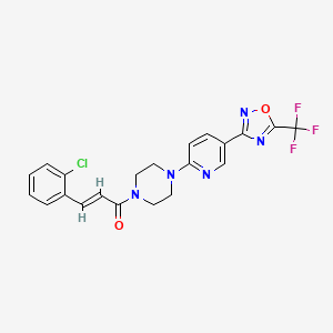 molecular formula C21H17ClF3N5O2 B2495369 (E)-3-(2-chlorophenyl)-1-(4-(5-(5-(trifluoromethyl)-1,2,4-oxadiazol-3-yl)pyridin-2-yl)piperazin-1-yl)prop-2-en-1-one CAS No. 1421587-25-8