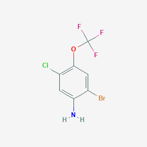 molecular formula C7H4BrClF3NO B2496310 2-溴-5-氯-4-(三氟甲氧基)苯胺 CAS No. 868406-81-9