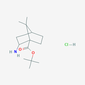 tert-Butyl 2-amino-7,7-dimethylbicyclo[2.2.1]heptane-1-carboxylate hydrochloride