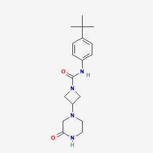 N-(4-Tert-butylphenyl)-3-(3-oxopiperazin-1-yl)azetidine-1-carboxamide