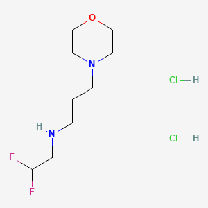 N-(2,2-Difluoroethyl)-N-(3-morpholin-4-ylpropyl)amine dihydrochloride