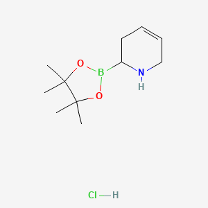 2-(4,4,5,5-Tetramethyl-1,3,2-dioxaborolan-2-yl)-1,2,3,6-tetrahydropyridine;hydrochloride