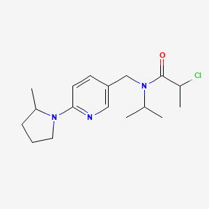 2-Chloro-N-[[6-(2-methylpyrrolidin-1-yl)pyridin-3-yl]methyl]-N-propan-2-ylpropanamide
