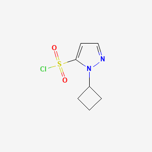 molecular formula C7H9ClN2O2S B2498480 1-环丁基-1H-吡唑-5-磺酰氯 CAS No. 2126164-47-2