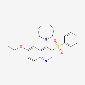 molecular formula C23H26N2O3S B2499498 4-(Azepan-1-yl)-3-(benzenesulfonyl)-6-ethoxyquinoline CAS No. 866811-85-0
