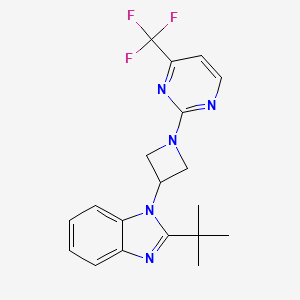 molecular formula C19H20F3N5 B2500644 2-tert-butyl-1-{1-[4-(trifluoromethyl)pyrimidin-2-yl]azetidin-3-yl}-1H-1,3-benzodiazole CAS No. 2415633-54-2