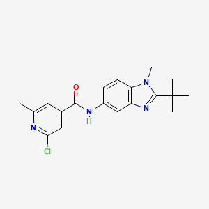 N-(2-tert-butyl-1-methyl-1H-1,3-benzodiazol-5-yl)-2-chloro-6-methylpyridine-4-carboxamide