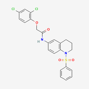 molecular formula C23H20Cl2N2O4S B2502406 2-(2,4-二氯苯氧基)-N-(1-(苯磺酰基)-1,2,3,4-四氢喹啉-6-基)乙酰胺 CAS No. 955535-42-9