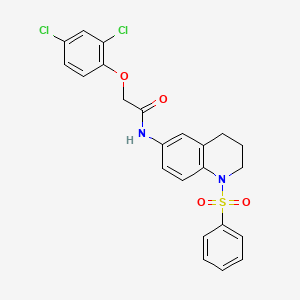 molecular formula C23H20Cl2N2O4S B2502406 2-(2,4-dichlorophénoxy)-N-(1-(phénylsulfonyl)-1,2,3,4-tétrahydroquinolin-6-yl)acétamide CAS No. 955535-42-9